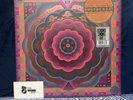 Grateful Dead 'Boston Garden, MA 5/7/77 Live' RSD 2023 180G Vinyl Box Set
