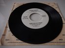 LYNYRD SKYNYRD - GIMME BACK MY BULLETS - SOUVENIR PROMO COPY - 1977  - S45-1966