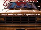 Gin Blossoms - New Miserable Experience - LP