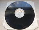 THE POLICE REGGATTA DE BLANC  Original UK Press LP  MUSEUM COPY  MINT *STUNNING*