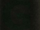 LEVAN, Larry - The Final Night Of Paradise: Disc 5 Of 5 - Vinyl (12