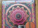 Grateful Dead 'Boston Garden, MA 5/7/77 Live' RSD 2023 180G Vinyl Box Set