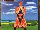 DAVID BOWIE - Earthling. 2 LP Vinyl Album. From Brilliant Adventure Box Set