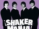 Los Shakers - Shakermania [New Vinyl LP]