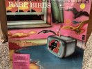 A FLOCK OF SEAGULLS Rare Birds Clear Vinyl Record Store Day B Sides RSD 2023 LP