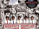 Tally Hall - Marvin's Marvelous Mechanical Museum (Picture Disc) LP NEU 09548804