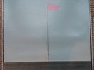 Punk WIRE Pink flag Harvest SHSP 4076 with inner sleeve Rare LP from 1977