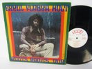 80s Dub Reggae ERROL FLABBA HOLT roots radics dub 1981 US Vinyl LP Good
