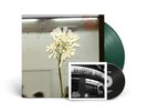 Daughter - Stereo Mind Game Dark Green Vinyl LP + Live CD ONLY 1200 MADE  *NEW*