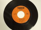 RARE 45RPM Jerry Waugh the Skeptics For My Own/I Told her Goodbye Garage Rock