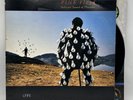 Pink Floyd - Delicate Sound Of Thunder - 1988 US 1st Press (EX) Ultrasonic Clean