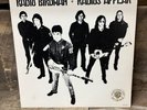 RADIO BIRDMAN 