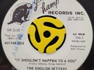 Garage 45 - English Setters - It Shouldn't Happen To A Dog - 1966 Glad Hamp HEAR