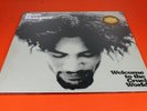 BEN HARPER | Welcome To The Cruel World | SEALED 2009 180GM Audiophile Vinyl LP