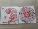 The Bronx IV Mariachi El Bronx Splatter Vinyl 500 descendents the used