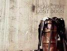 Pearl Jam - Lost Dogs Colored Vinyl
