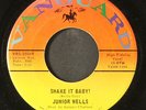 JUNIOR WELLS: stomache ache / shake it baby  VANGUARD 7