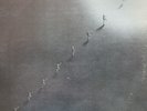LP REGGAE / SOUL / DAVID KULIK / INSIDE OF YOU / SUNDARI