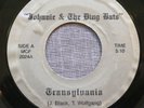 JOHNNIE & THE DING BATS Transylvania/Phantoms Of Love Rare 1986 Punk 45 NM-