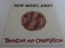 LP 33T New Model Army 