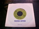 BOBBY SHEEN 45 Wb  1970's SOUL  something new to do  FIRST PRESS  Plays NM
