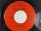 HEAR The Snails When I Met You Love Theme  - RARE Georgia Garage Rock 45 Record