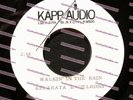 REPARATA & DELRONS 60s Girl Grp ACETATE 45rpm Walkin in the Rain/The Bowery HEAR