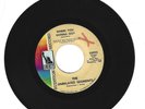 GARAGE 45 RPM - THE UNRELATED SEGMENTS ON LIBERTY RECORS 