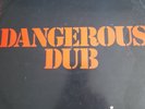 80s Dub Reggae KING TUBBY MEETS ROOTS RADICS dangerous dub 1981 UK Vinyl LP Mint