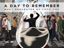 A Day to Remember What Separates Me from You (Vinyl) 12