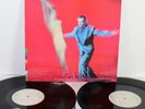 Peter Gabriel  - US - Double Vinyl LP Album (Original 1992 Press) - *Near Mint*
