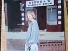 Drop Nineteens Delaware LP Vinyl Album 1992 Shoegaze Indie Rock VG+/VG Hut Recs