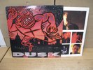 THE THE DUSK Used Vinyl LP