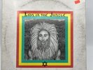 Congo Natty - Lion In The Jungle 4 x LP Vinyl Record White Labels drum n bass R2
