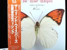NAOYA MATSUOKA The Wind Whispers **NM** LP JAPAN WB M-11001W w/OBI Ultrasonic