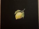 How To Make Lemonade