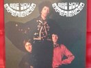 Jimmy Hendrix Are You Experienced Vinyl LP Record