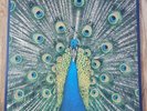 The Bluetones LP Expecting To Fly UK 1996 Numbered 1st Press INCREDIBLE COPY