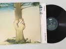 I NOMADI - MA NOI NO  - LP VINYL CGD 1ª St. ORIGINAL ITALY 1992 EXCELLENT