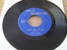 Very Rare Northern/Crossover Single-Nick Allen Hard Way To Go-Walas Records Inc