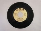 RIVER CITY FUNK BAND FELL INTO A BAG 45 RARE KENTUCKY FUNK RDM 988 Soul Train EX