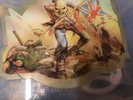 Iron Maiden The Trooper Picture Disc