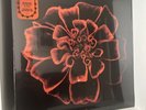 Siouxsie and the Banshees All Souls 12” Orange 180g Vinyl LP Record New Sealed