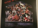 PSYCHIC MIRRORS Nature Of Evil LP VINYL COSMIC CHRONIC BOOGIE FUNK 2016