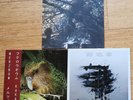Three Merzbow LP. Kakapo. Mer Mar (with Lasse Marhaug)  & Tomarigi. 