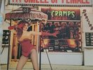 The Cramps-Smell of Female 1983 First Edition EX. COVER VG SLIGHT wear on edge