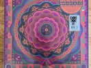 Grateful Dead 'Boston Garden, MA 5/7/77 Live' RSD 2023 180G Vinyl Box Set