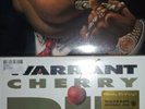 Warrant - Cherry Pie + Dirty Rotten Filthy Stinking Rich (Vinyl LP lot)