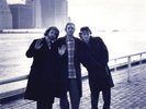 Medeski Martin & Wood It's A Jungle In Here (Limited 30th Anniversary Clearwater