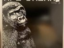 Shawn Lee – Ape Breaks Vol 3. LP USED VG++/VG+